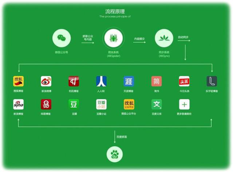 深度解析：如何选择合适的品牌策划服务？